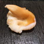 寿し徳 - イシガキ貝