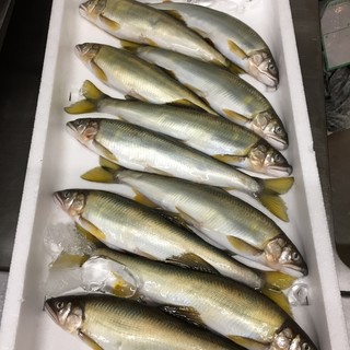 神戸イタリアン KIZUNA_0