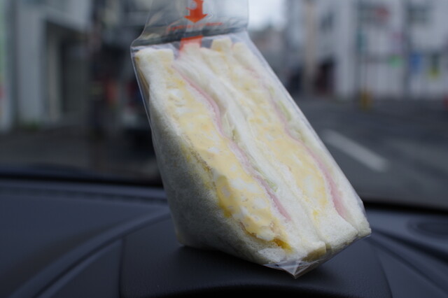 sandria Hon Ten photo 5