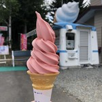 羊ヶ丘ドリーム 赤井川 山中牧場ソフトクリーム - 