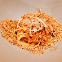 セルサルサーレ - 