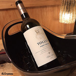 御料理 寺沢 - TOLLOY PINOT GRIGIO