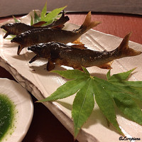 御料理 寺沢 - 稚鮎塩焼