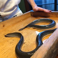 日本料理 梅林 - 