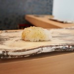 すし六香 - アオリイカ◎☆