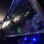 AQUARIUM 完全個室 ベネチア - 