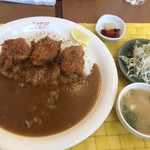 カレー工房ダーニャ - 今日のランチA  チキンカツ780円