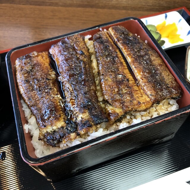 谷本 津 うなぎ 食べログ 谷本 津 うなぎ 食べログ