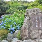 月見茶屋 - 月見の森