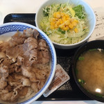 吉野家 - 牛丼 並盛り
            Ａ サラダ・味噌汁 セット