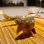 茶禅華 - 2019.6.  五粮香魚