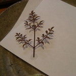 宝塚 しば田 - えっと？