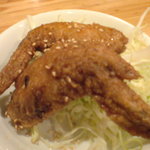 飲食笑商何屋ねこ膳 - 世界のねこちゃん