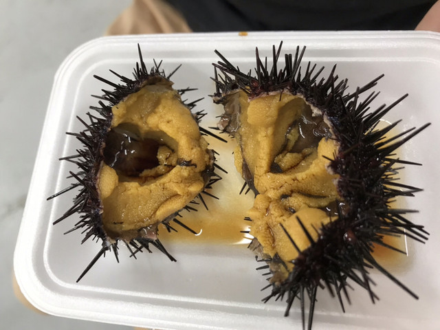 気仙沼 海の市 - 南気仙沼（その他）の写真