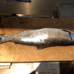 ろっかん - びわます