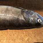 ろっかん - びわます