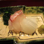 寿修 - 鳴門の鯛とアオリイカ。イカは塩で。