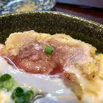 かつ丼多勝 - 肉汁ウッヒョオオオアアア