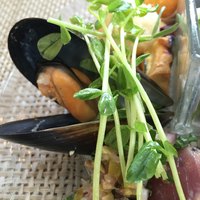 ＧＩＴＡ - ムール貝。
