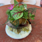 プレヴナンス - 初ガツオ、ヨーグルトソースで。 厚切りにカットされた初ガツオ。ねっとりしています。わき役の茄子がとろとろ。