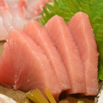 藤緒 - よこわマグロ