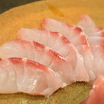 藤緒 - 奄美大島のハマダイ