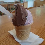クローバー畑 - ジェラートのダブル350円、チョコとラズベリー
