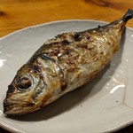 天史朗鮨 - マアジ塩焼き　腹ワタごと焼いて全部食べれます