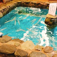 河太郎 中洲本店 - 