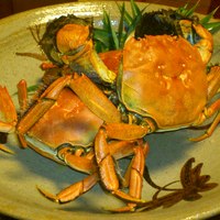 飴源 - 雄と雌
