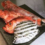 Teruzushi - インスタグラムで情報を発信！