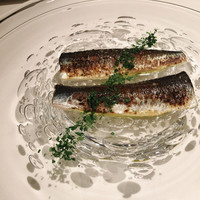 TexturA - イワシ  ESP