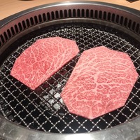 日本焼肉 はせ川 銀座店 - 