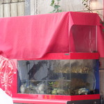 Caff’e Ponte ITALIANO - 