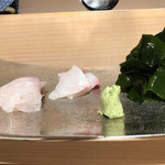 Sushi Tatsu - 