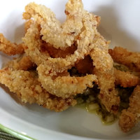 フォリオリーナ・デッラ・ポルタ・フォルトゥーナ - 