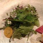 AKI NAGAO - 和歌山 熊海老－海洋深層水のミネラルとバイマックルの香りのサラダ