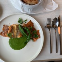 TOOTH TOOTH GARDEN RESTAURANT -  TOOTH TOOTH GARDEN RESTAURANT -