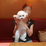 OSTERIA dieci - バンザイ・ポーズ