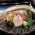 京はし なが尾 - お造り（アコウ鯛、他）