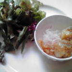 中国料理 桃李 - サラダ