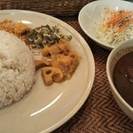 スリランカ料理 ラサハラ - 初のスリランカ料理のカレー。本格的という感じ。