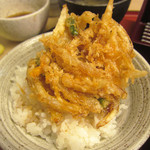 天ぷら やす田 - かき揚げ丼