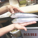 駅前酒場 - 鰯 おおきいーーー