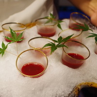 かまくら和久 - 鼈の生き血と日本酒