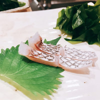 たつ庄 - ●鯛湯引き様