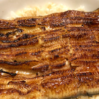 うなぎ割烹 大江戸 - 