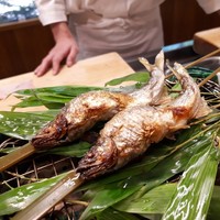 赤坂 菊乃井 - 琵琶湖の稚あゆを炭火焼きで