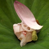 赤坂 菊乃井 - 明石の鯛と太刀魚の刺身