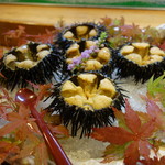 鮨かしわ - 雲丹祭り